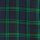 Flannel pajama pant in Black Watch tartan GREEN DARK EVENING PLAI