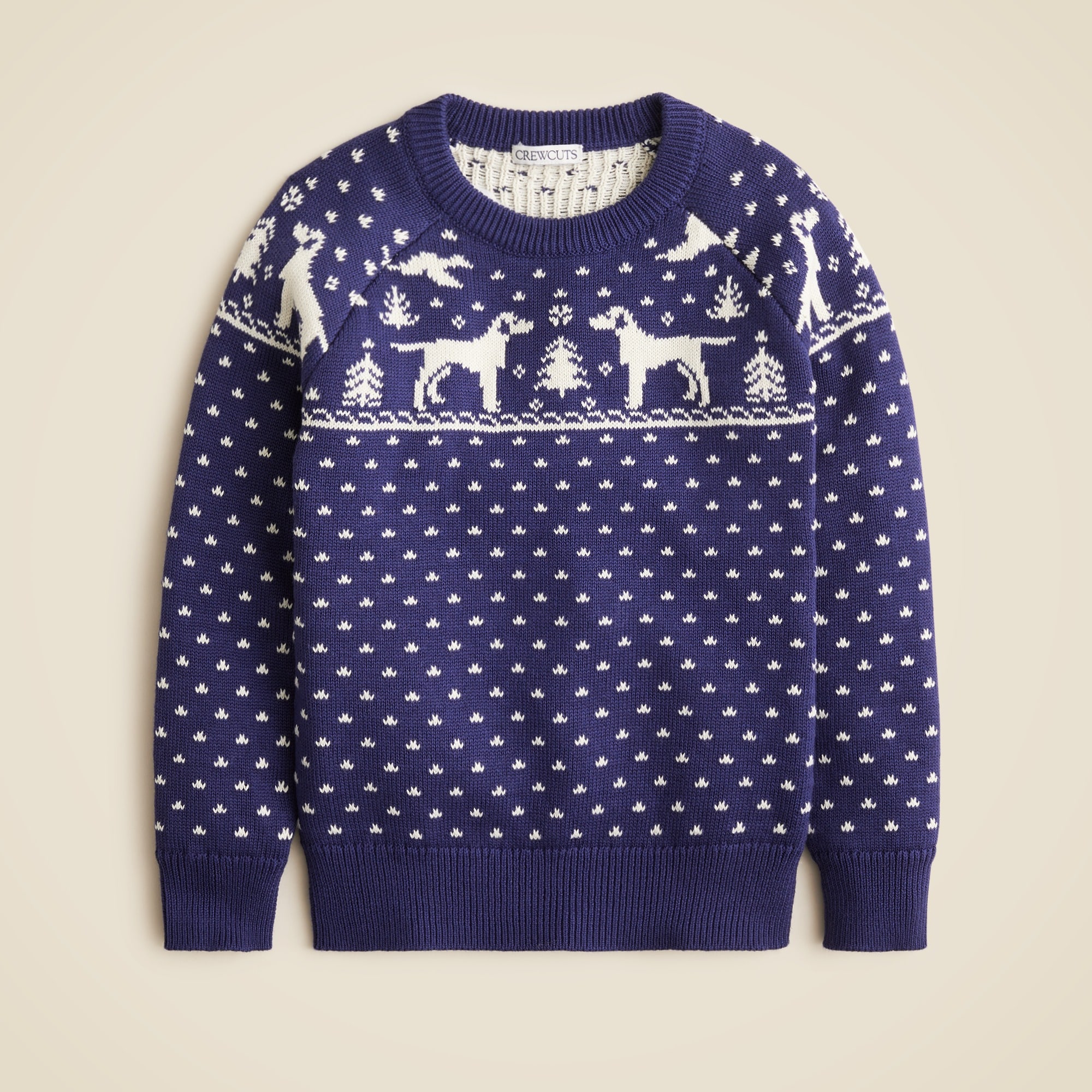 boys Boys' dog Fair Isle crewneck sweater