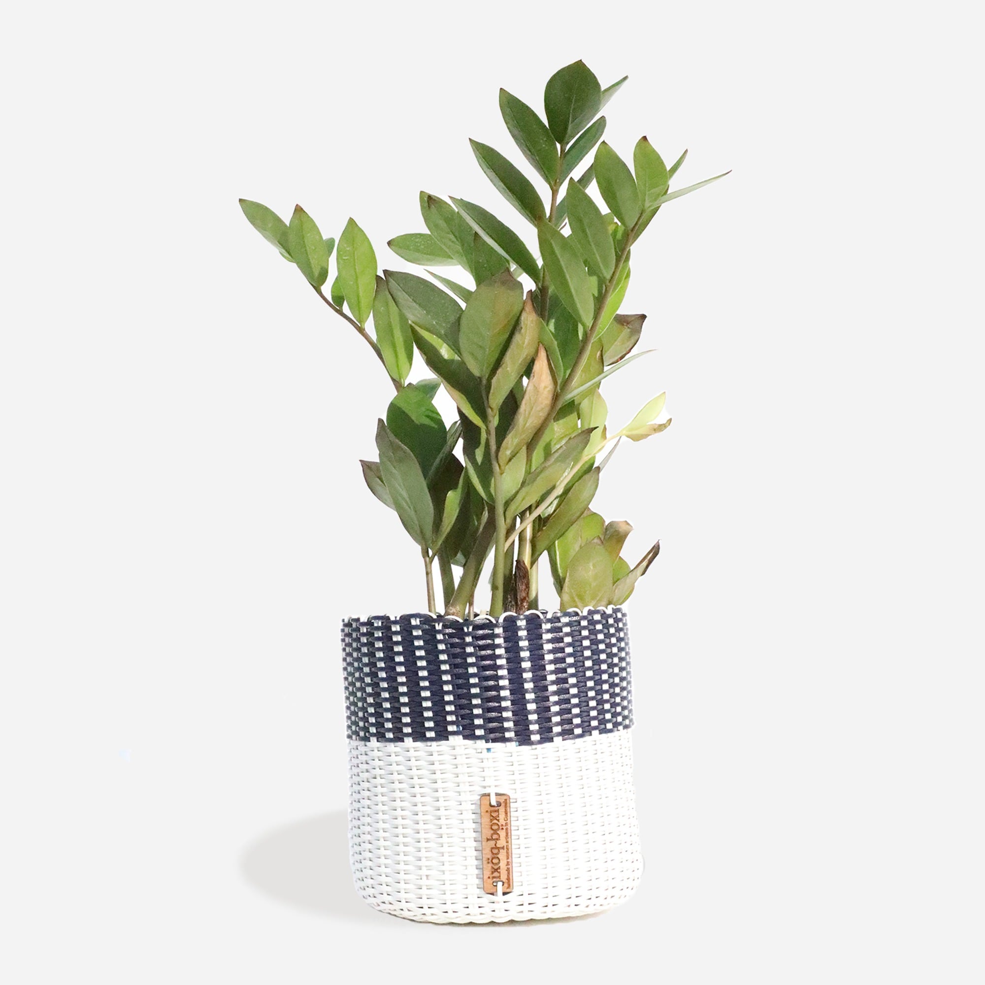 womens ix&ouml;q medium recycled-plastic container/planter